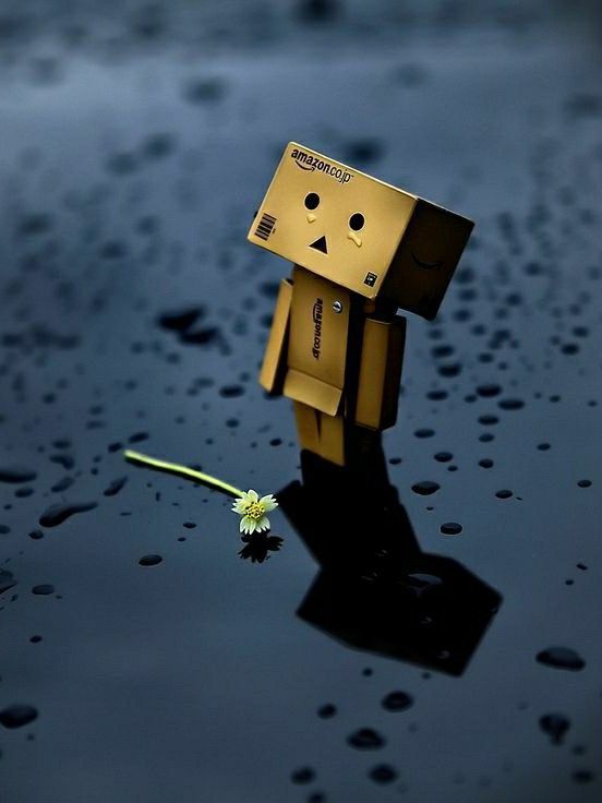 Sad Shayari in English