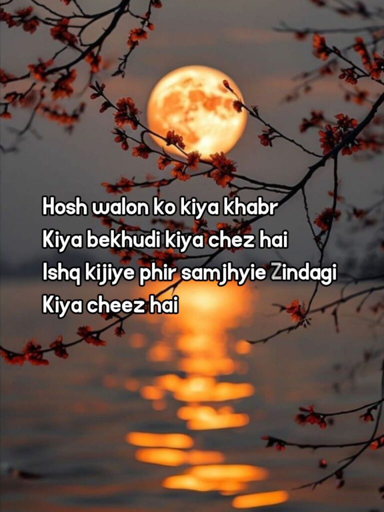 life Shayari in English 