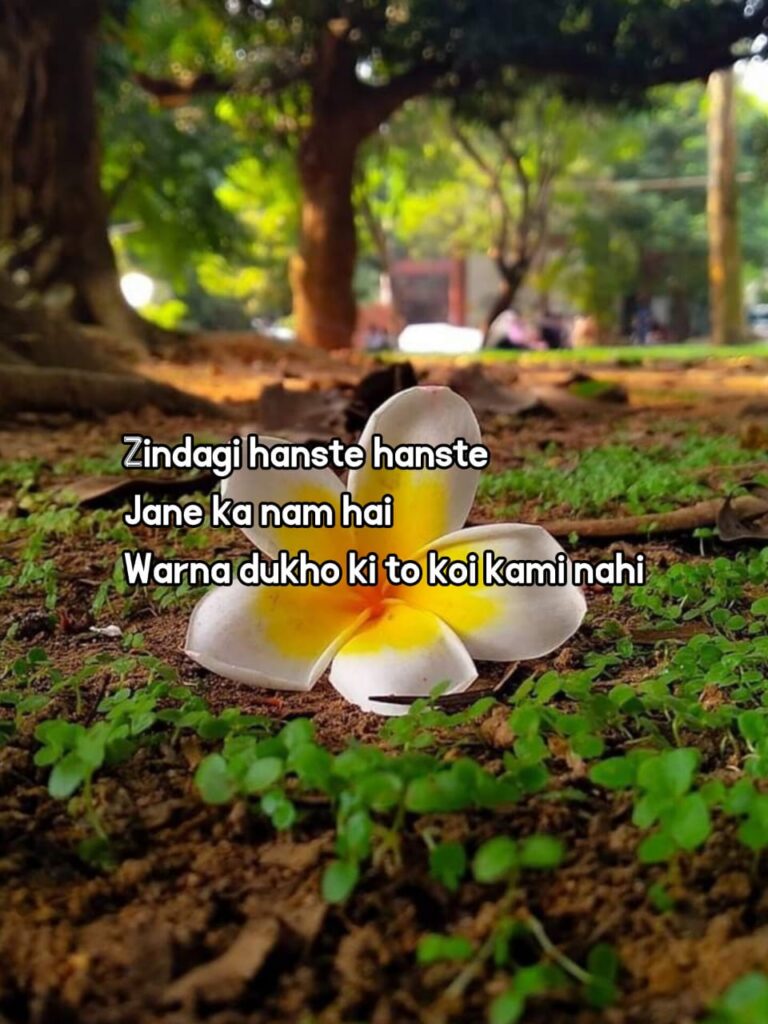 life Shayari in English 