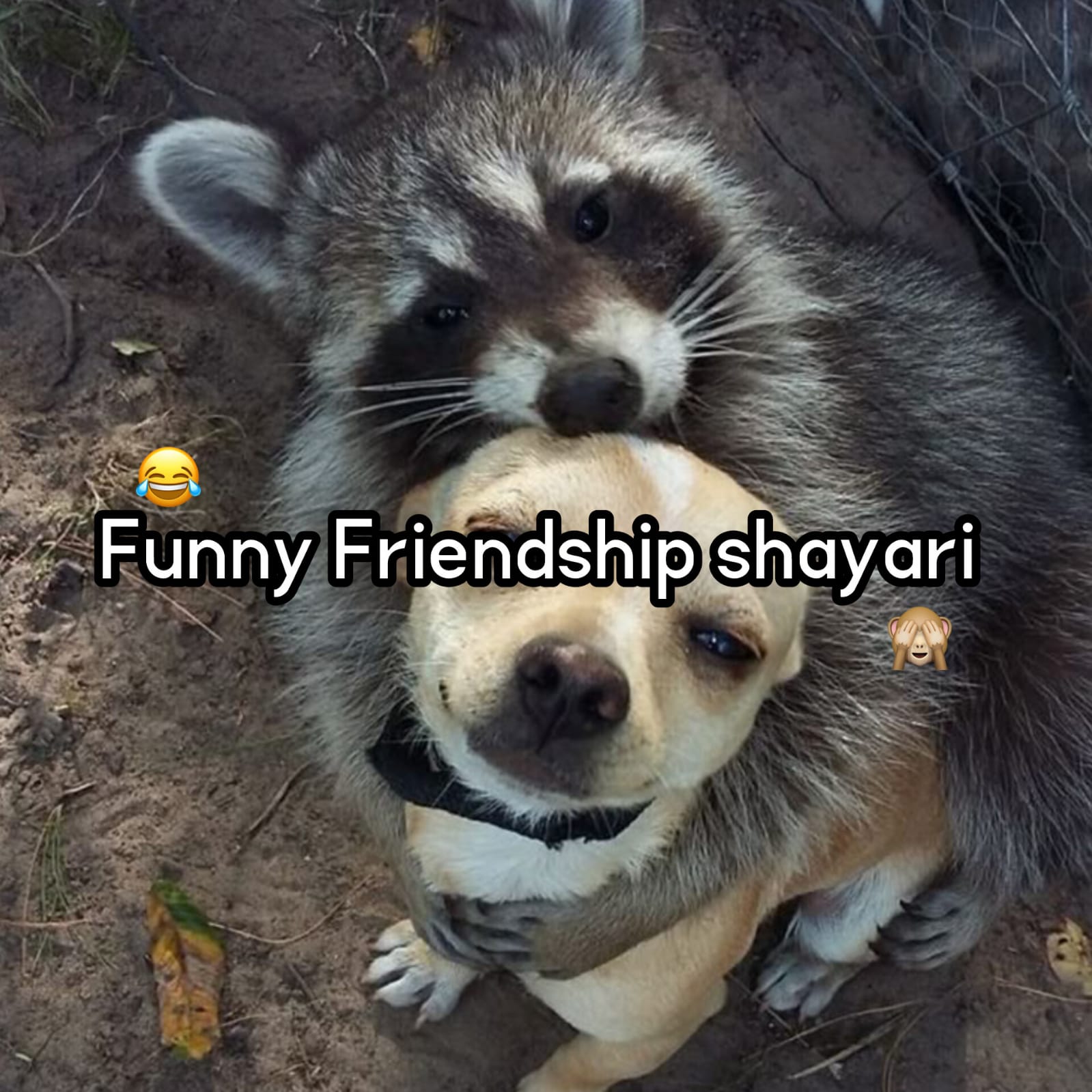 funny friendship shayari