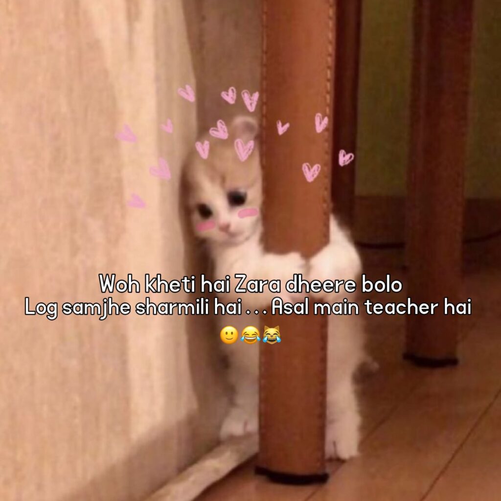 funny double meaning shayari in hindi
