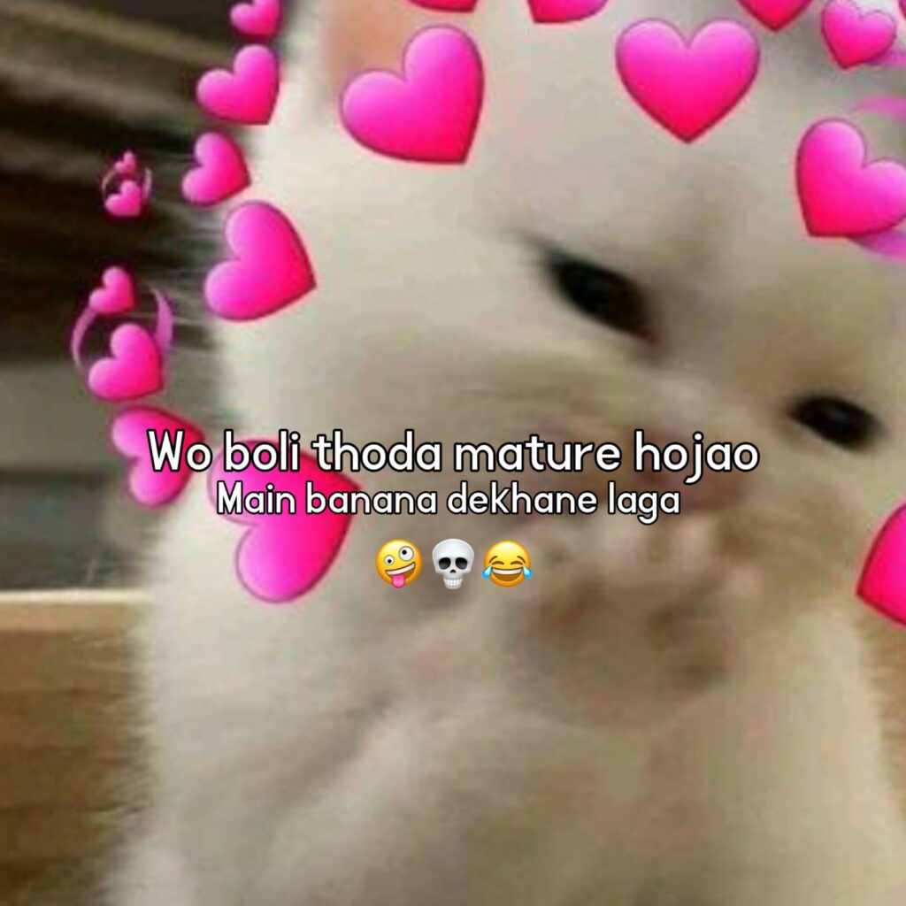 funny double meaning shayari in hindi
