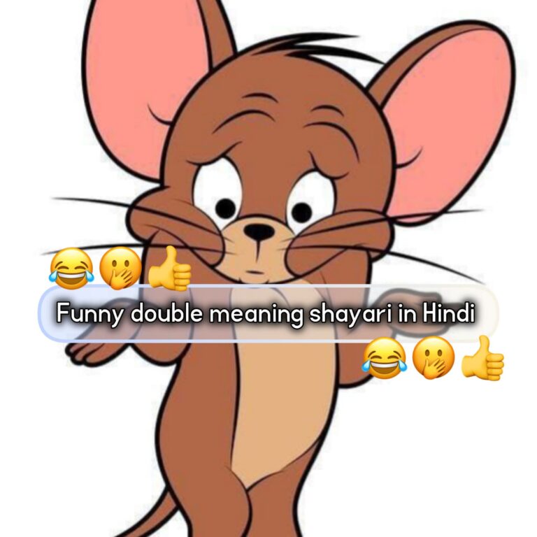 funny double meaning shayari in hindi