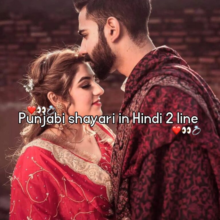punjabi shayari in hindi 2 line