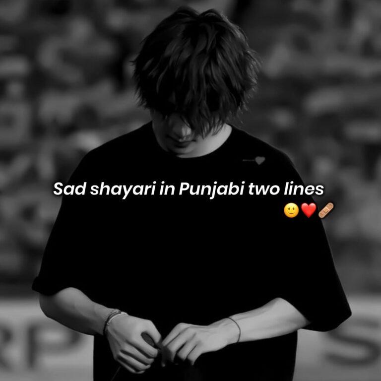 110+ best sad shayari in punjabi two lines